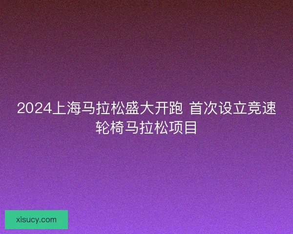 2024上海马拉松盛大开跑 首次设立竞速轮椅马拉松项目 2024上海马拉松盛大开跑 首次设立竞速轮椅马拉松项目