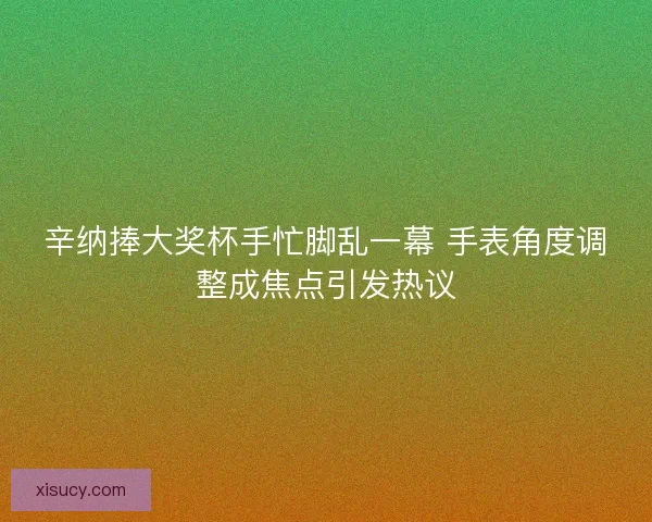 辛纳捧大奖杯手忙脚乱一幕 手表角度调整成焦点引发热议
