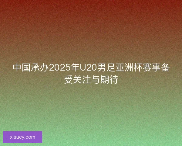 中国承办2025年U20男足亚洲杯赛事备受关注与期待