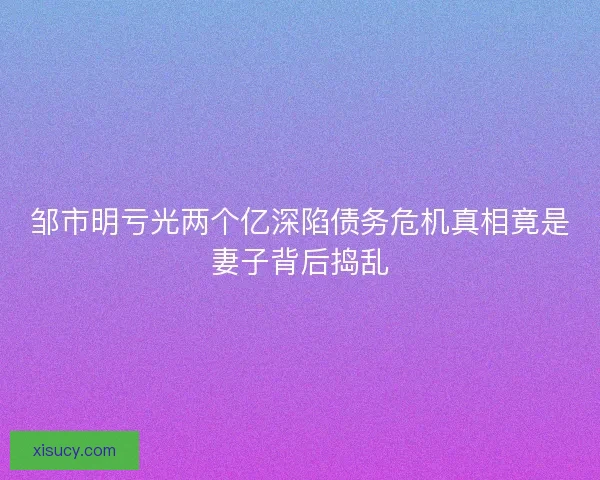 邹市明亏光两个亿深陷债务危机真相竟是妻子背后捣乱